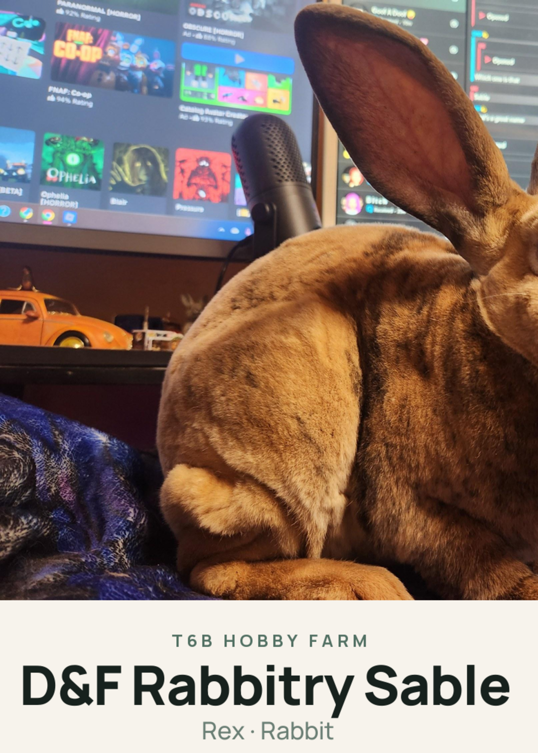 D&F Rabbitry Sable Creature Card