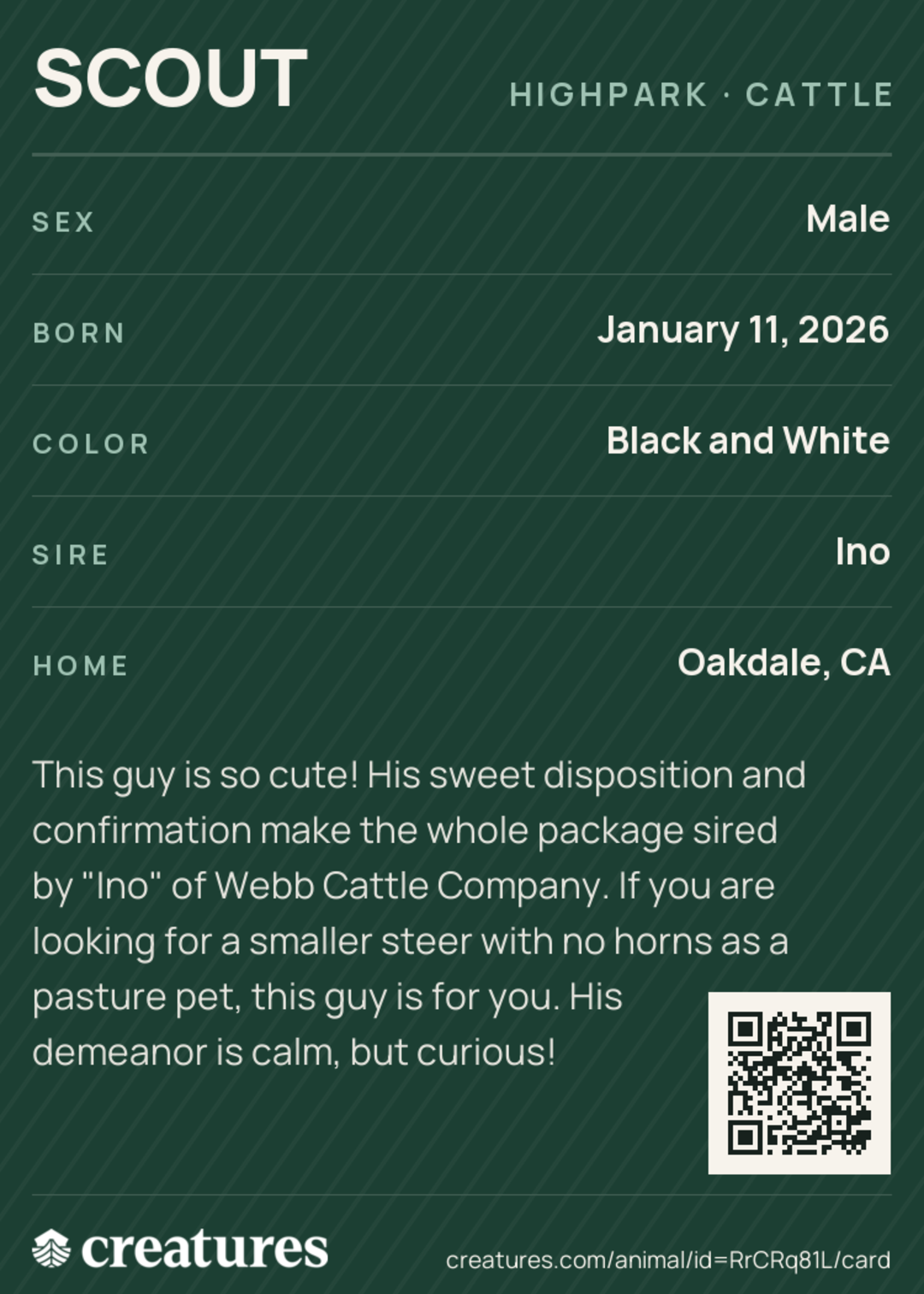 Scout Creature Card back
