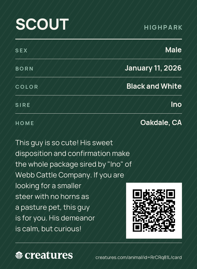 Scout Creature Card back