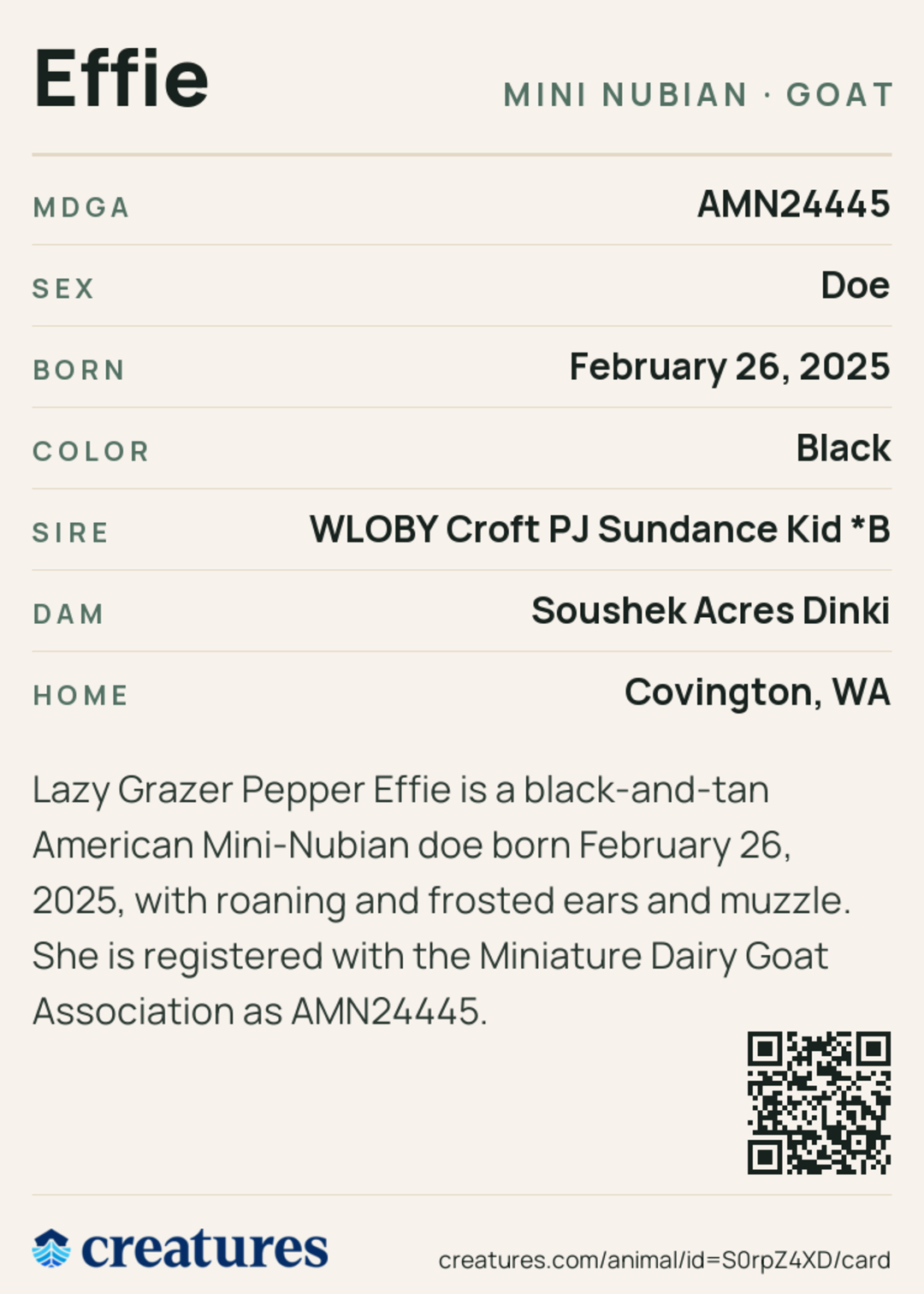 Effie Creature Card back