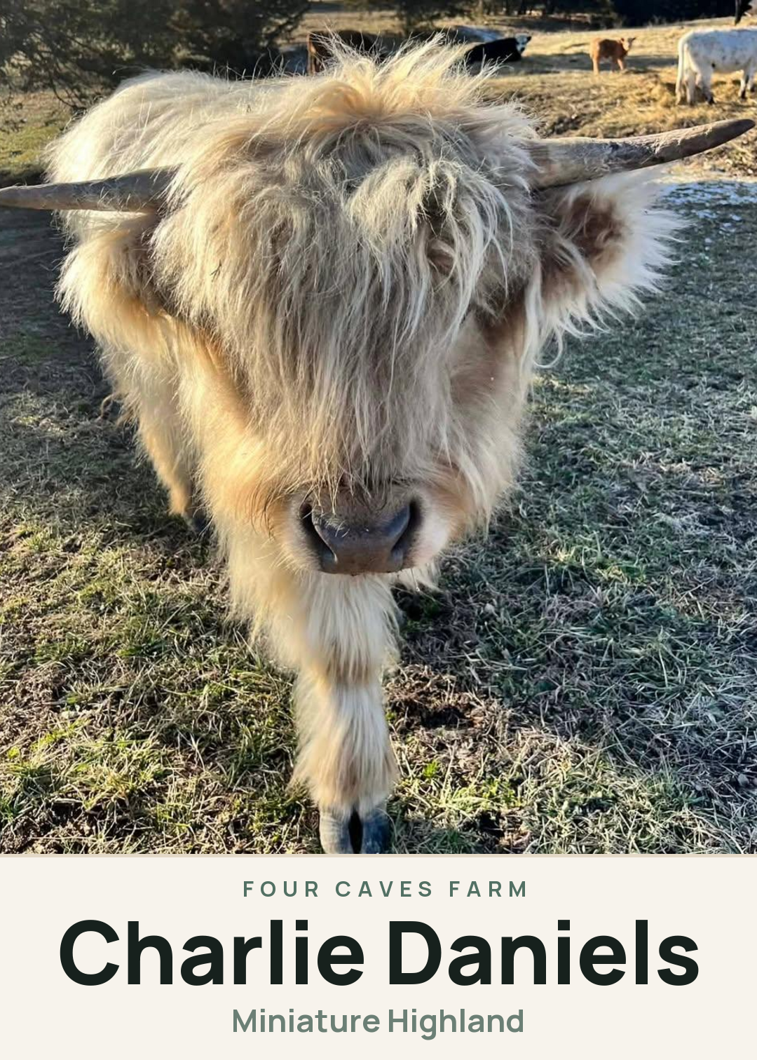 Charlie Daniels Creature Card