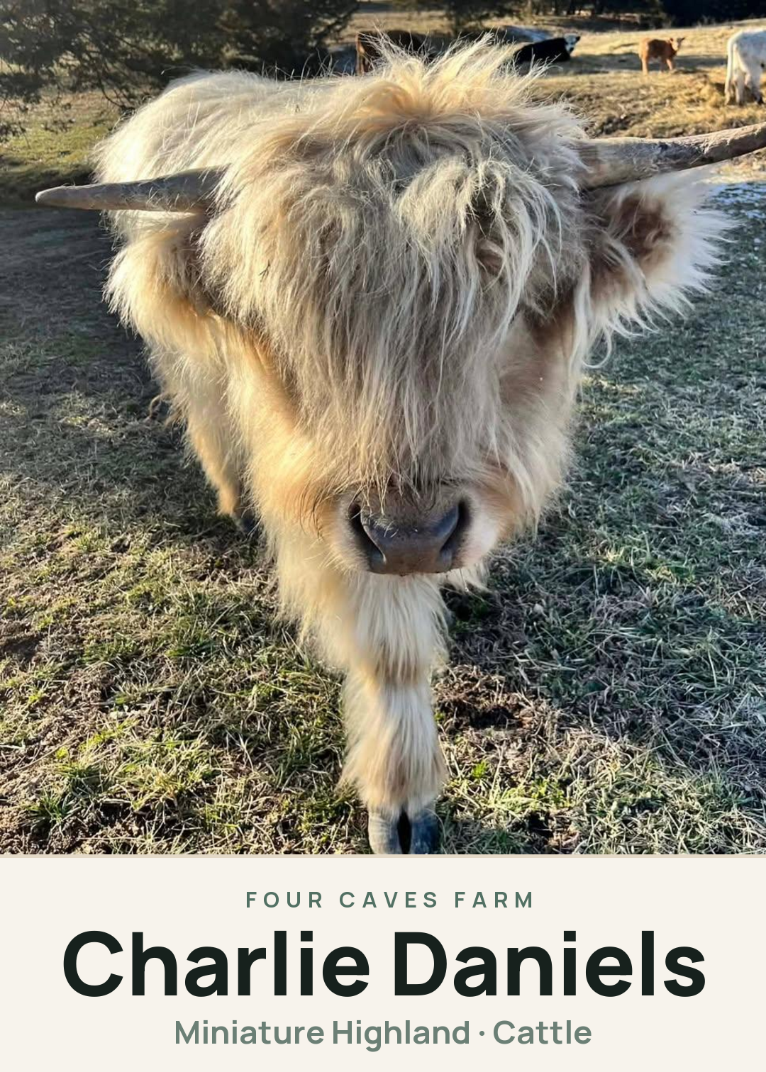 Charlie Daniels Creature Card