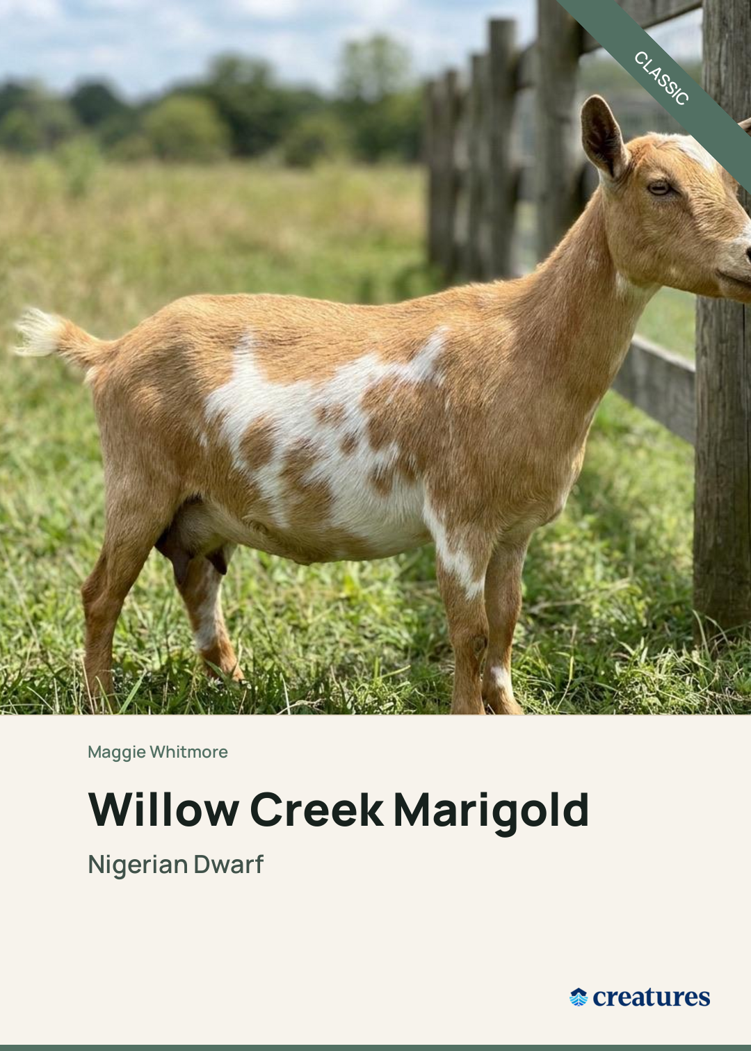 Willow Creek Marigold Creature Card