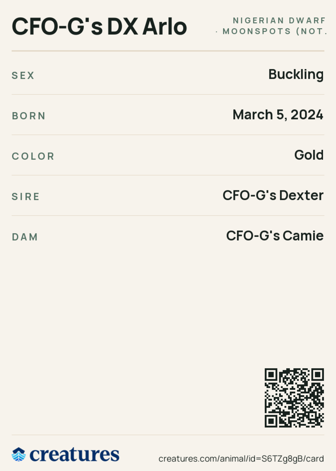 CFO-G's DX Arlo Creature Card back