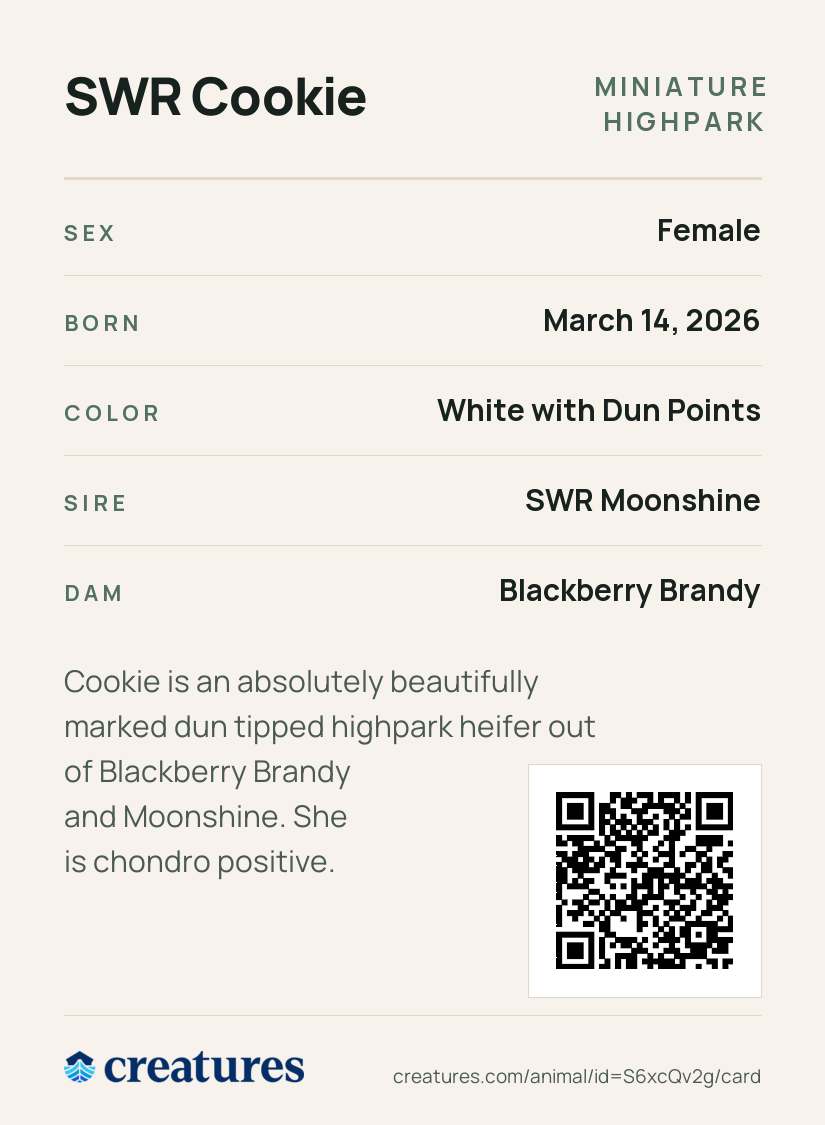 SWR Cookie Creature Card back