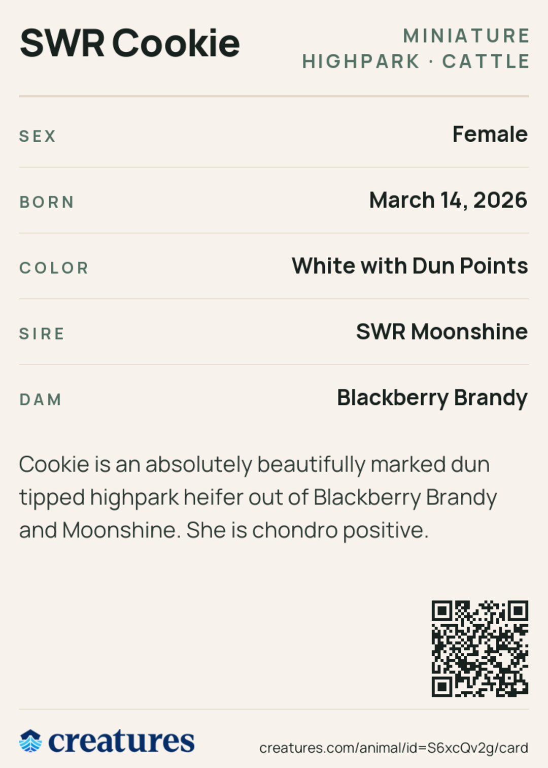 SWR Cookie Creature Card back