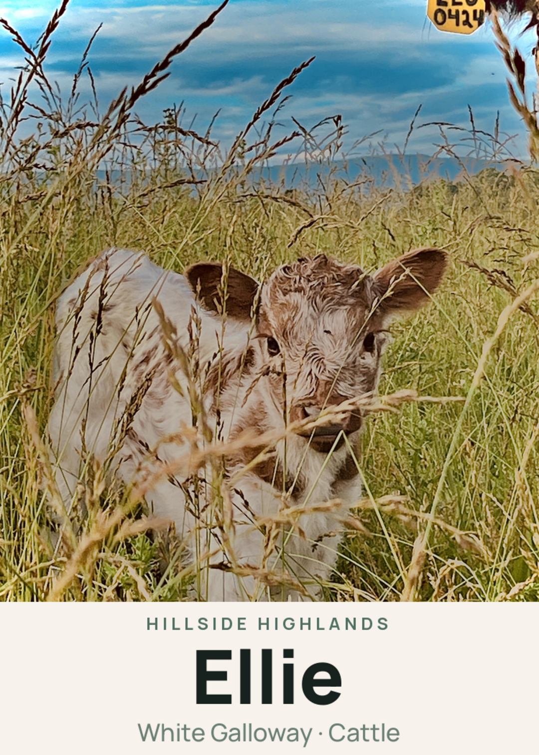 Ellie Creature Card