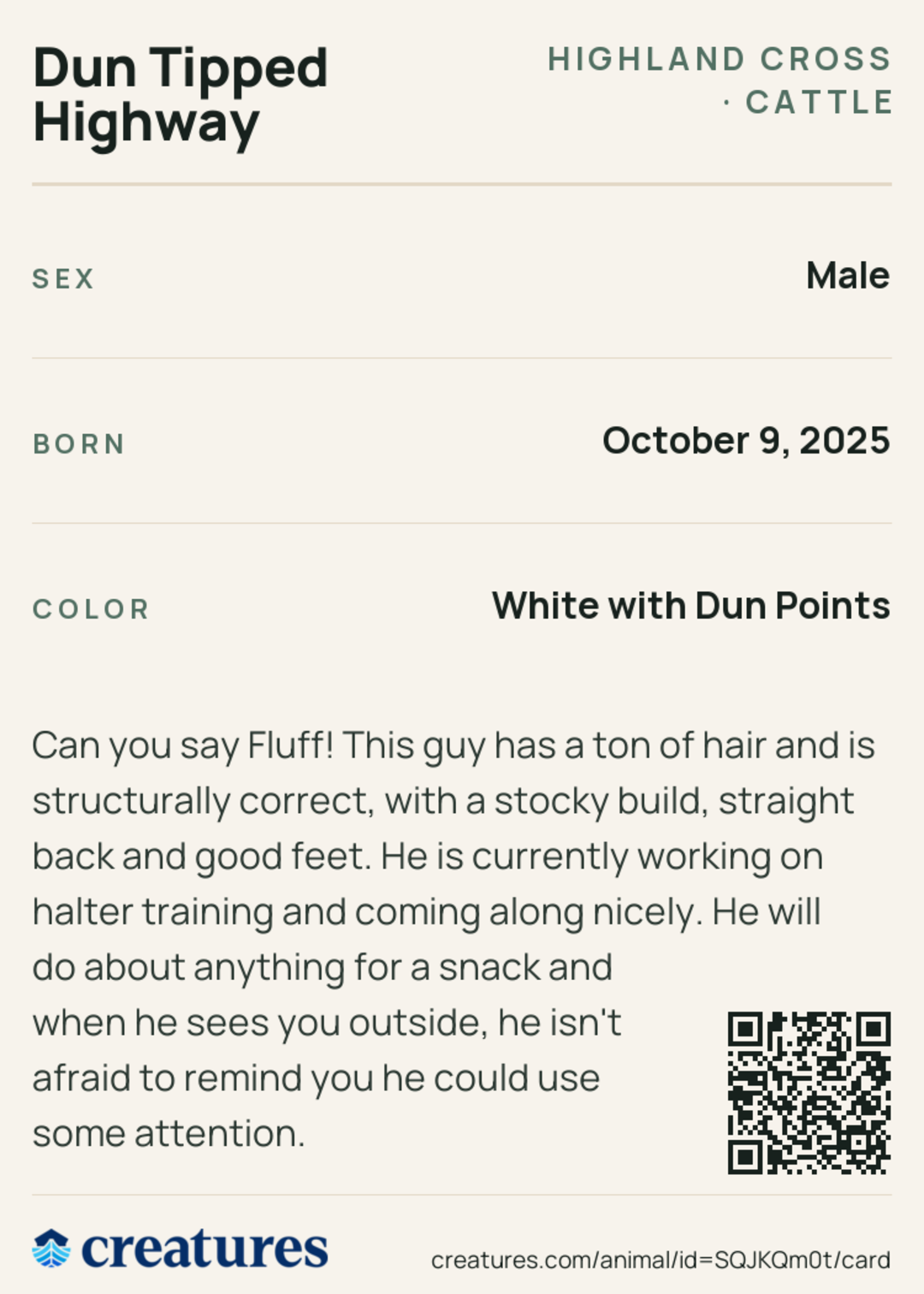 Dun Tipped Highway Creature Card back
