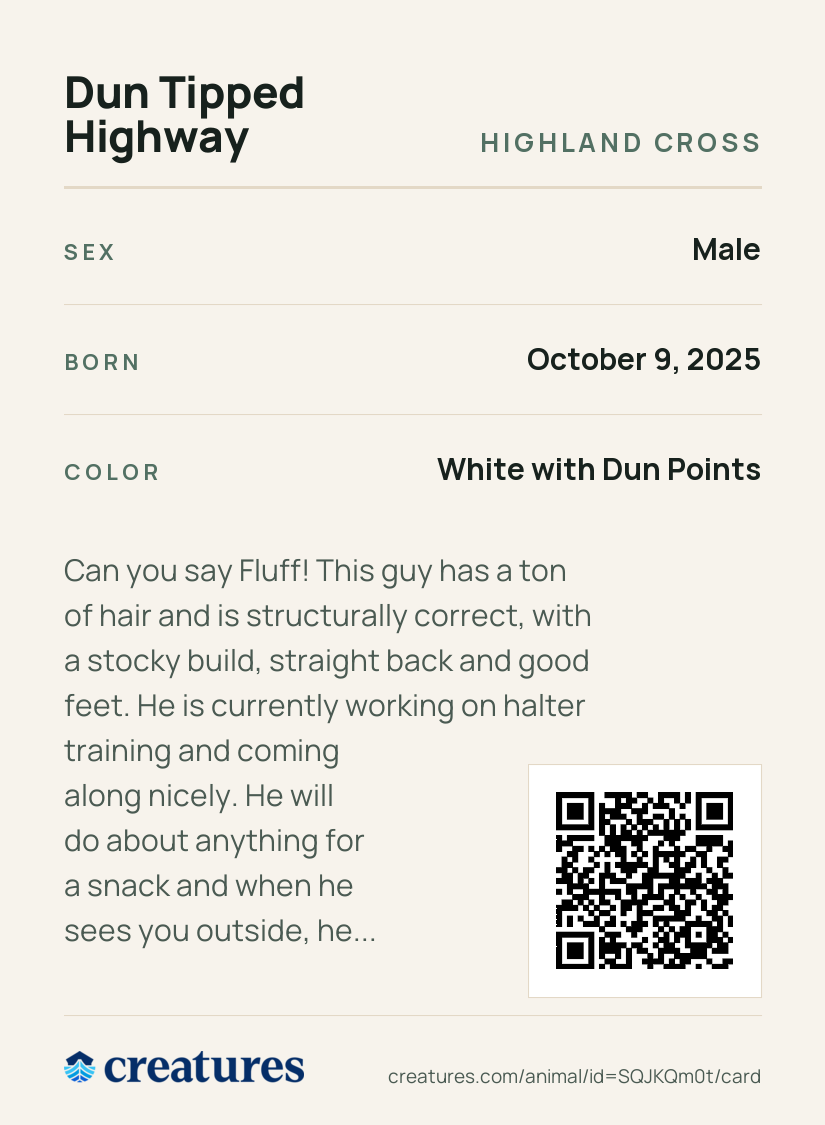 Dun Tipped Highway Creature Card back