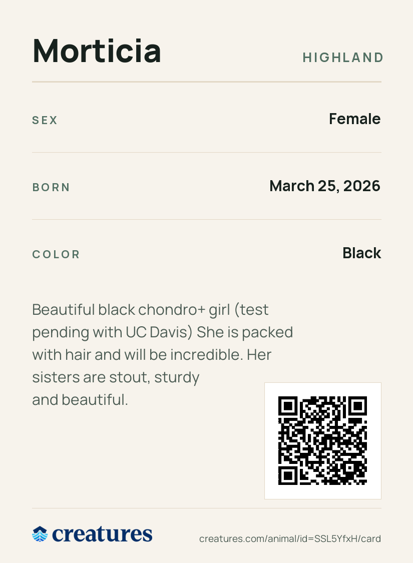 Morticia Creature Card back