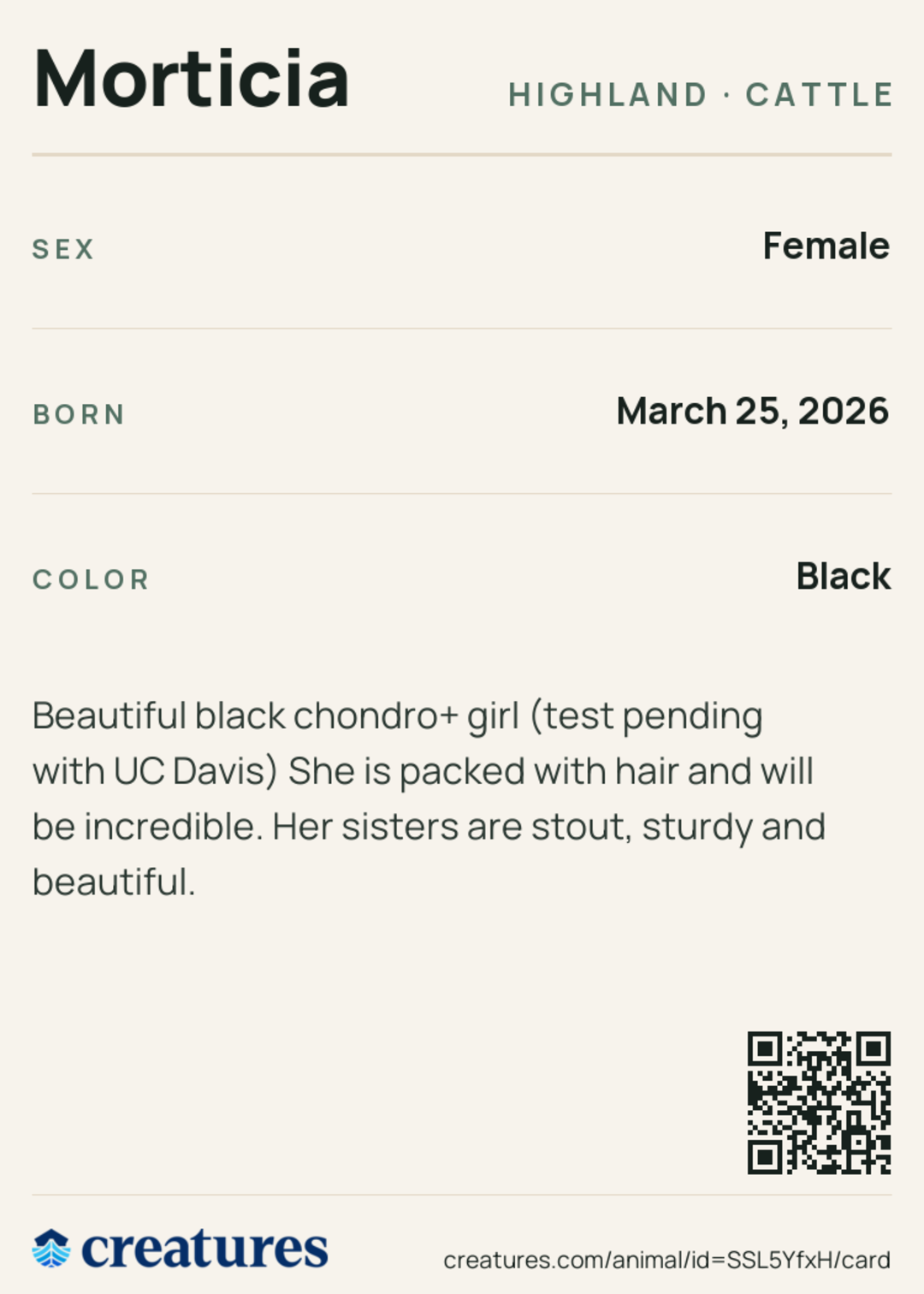 Morticia Creature Card back