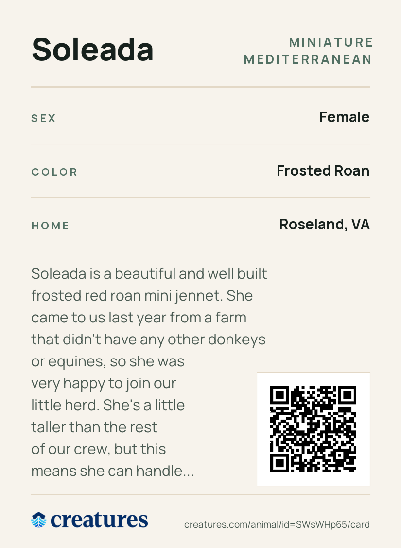 Soleada Creature Card back