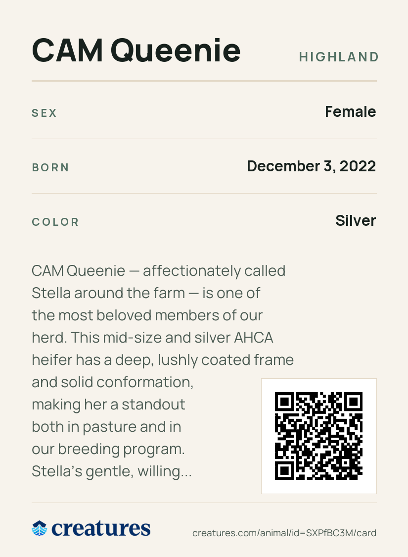 CAM Queenie Creature Card back