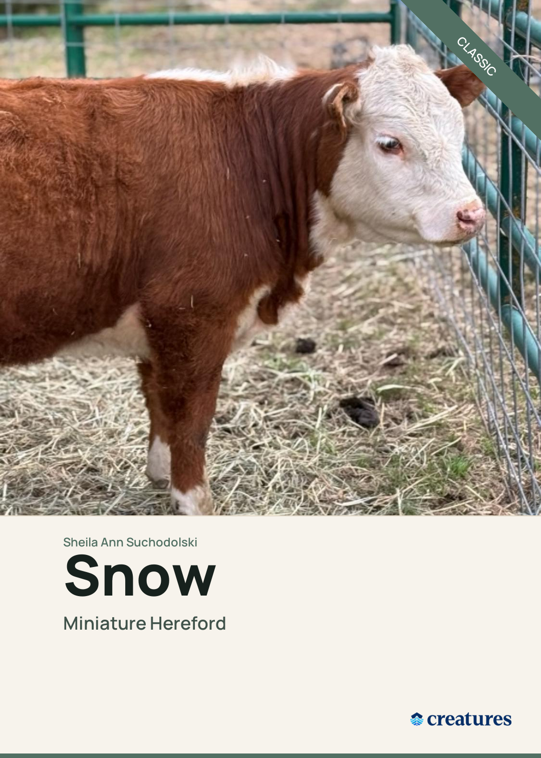 Snow Creature Card