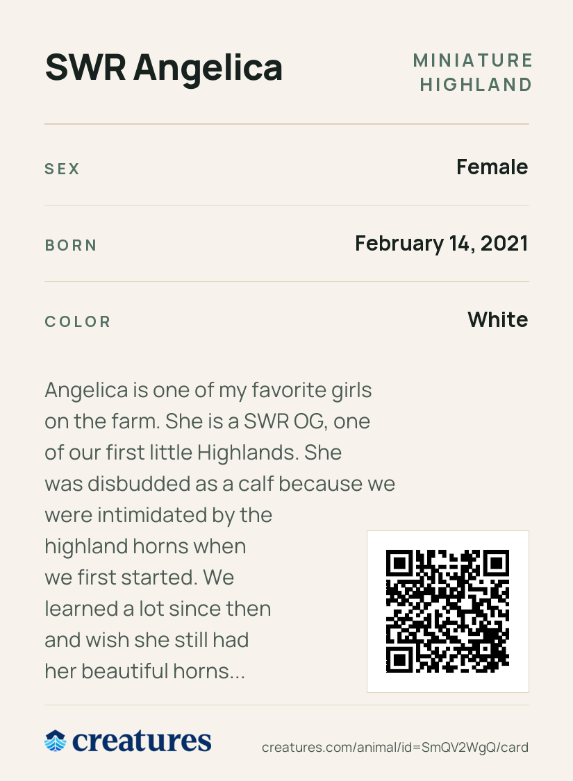 SWR Angelica Creature Card back