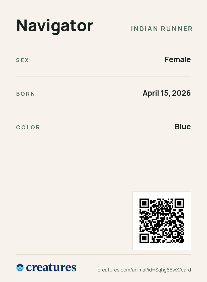 Navigator Creature Card back
