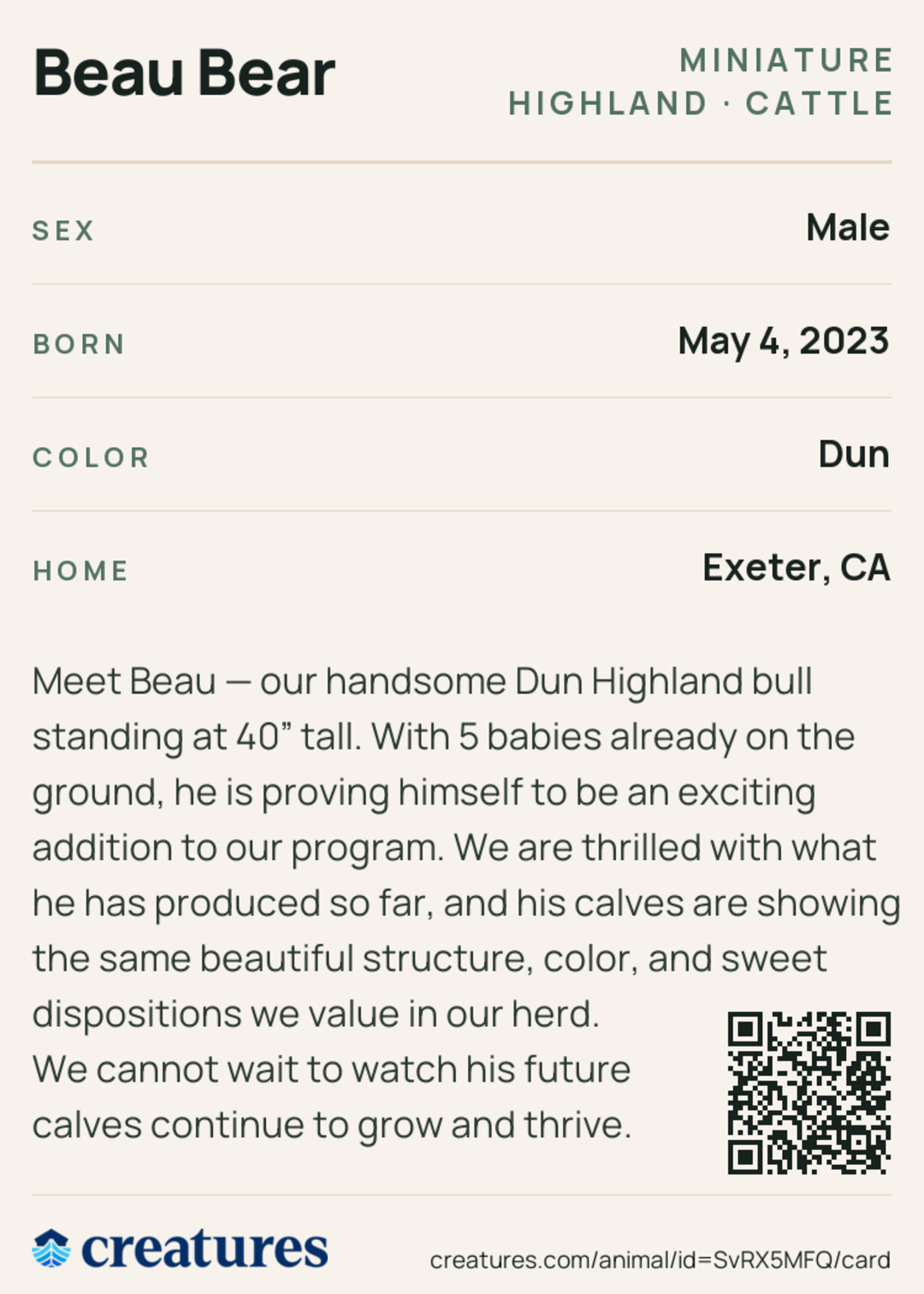 Beau Bear Creature Card back