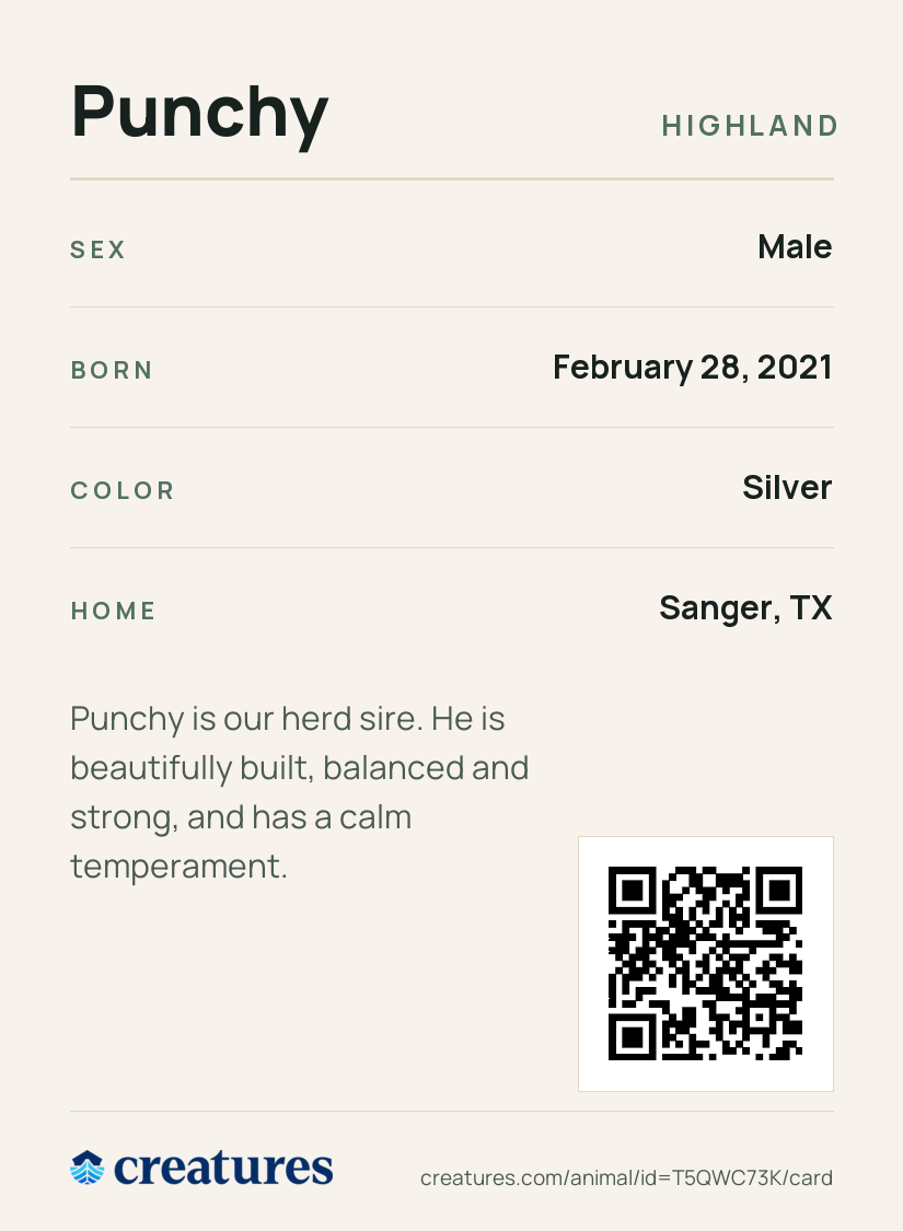 Punchy Creature Card back