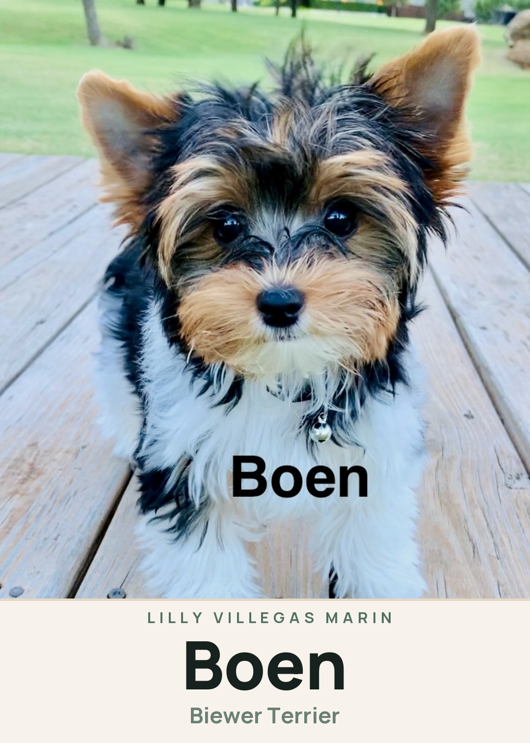 Boen Creature Card