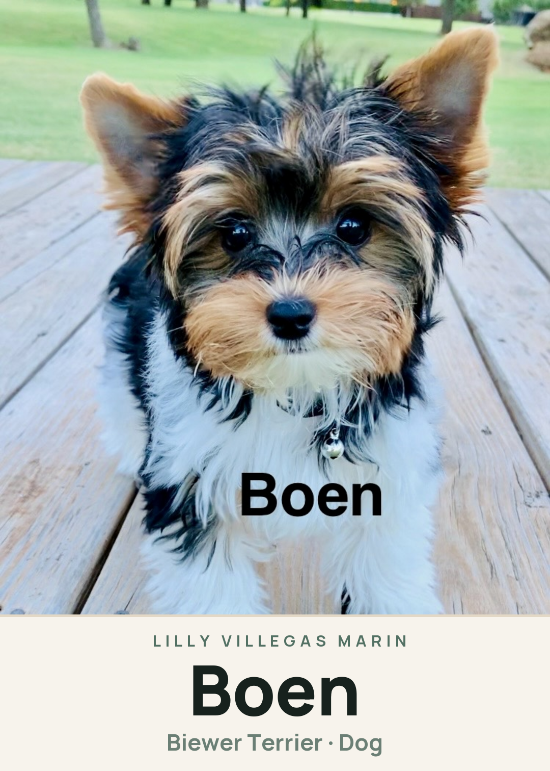 Boen Creature Card