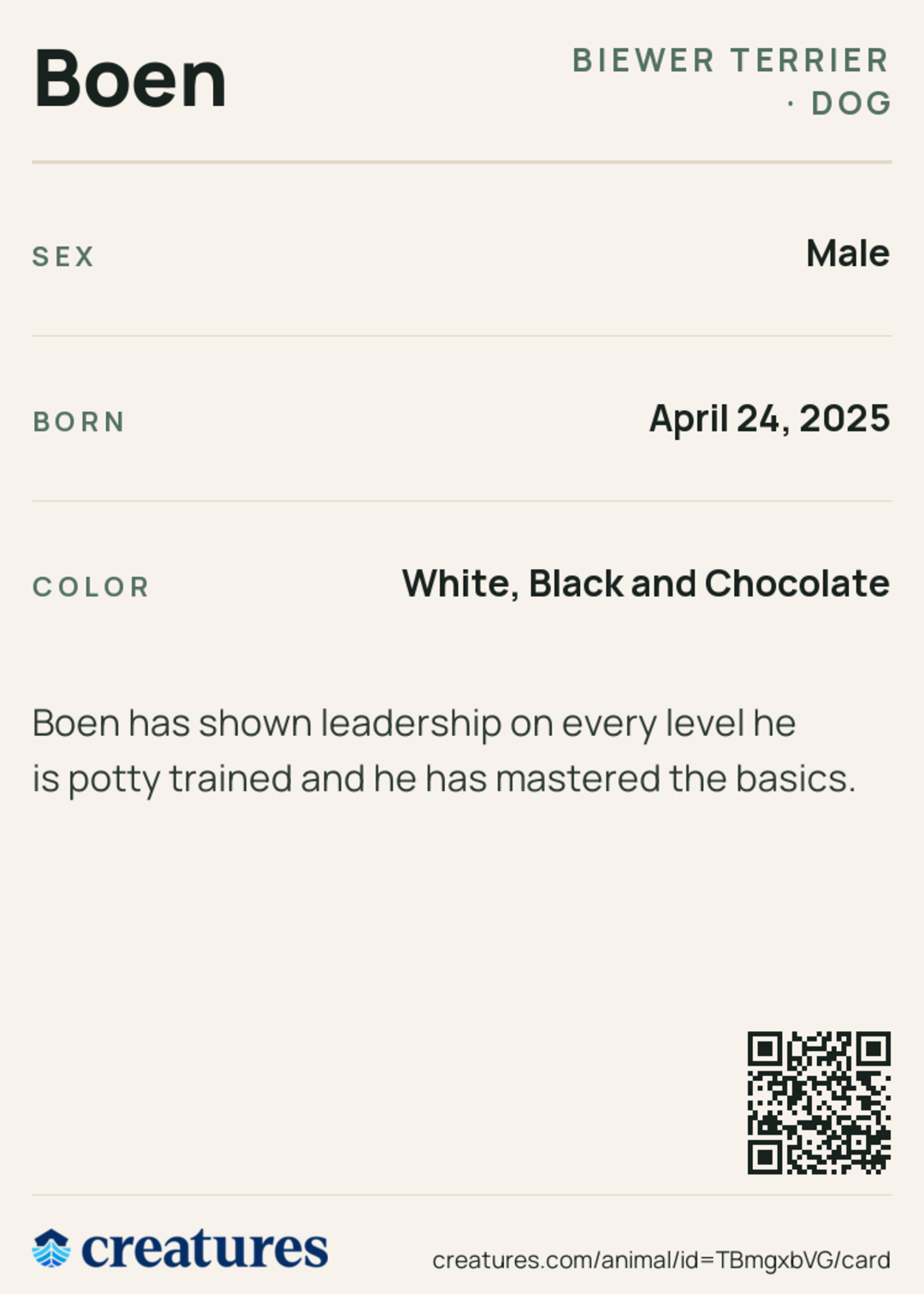 Boen Creature Card back
