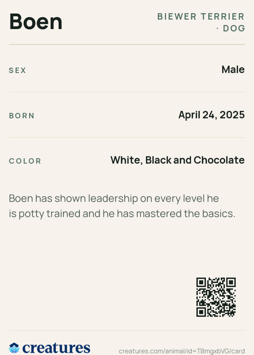 Boen Creature Card back