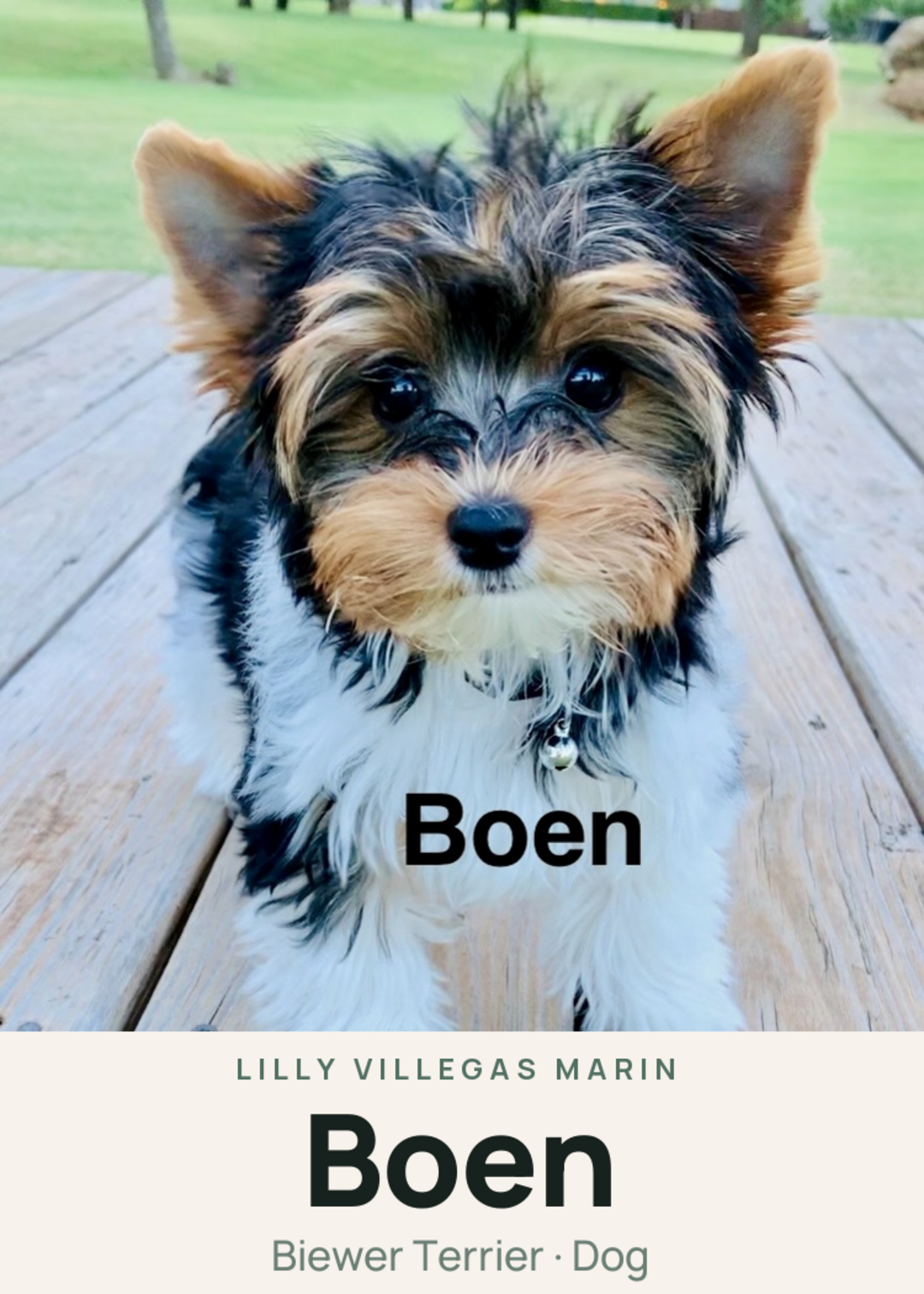Boen Creature Card