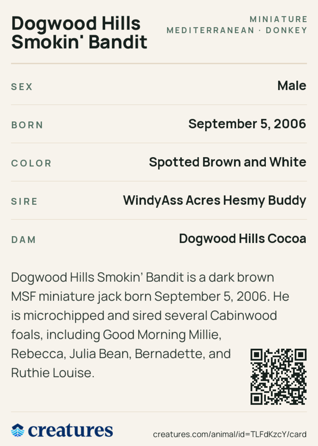Dogwood Hills Smokin' Bandit Creature Card back