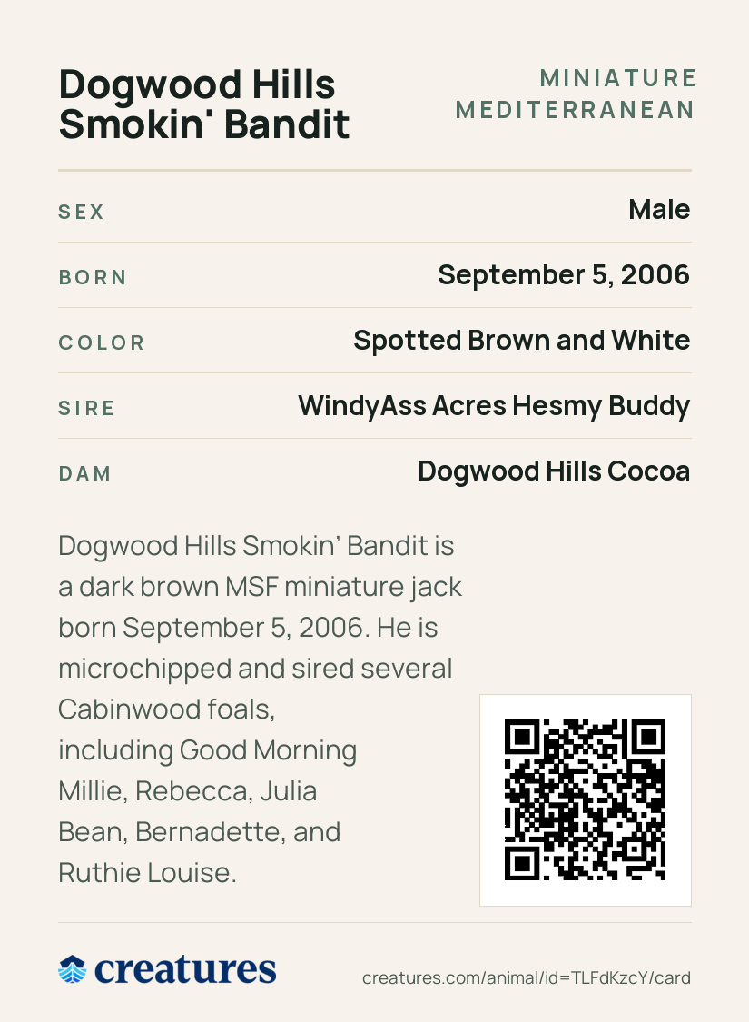 Dogwood Hills Smokin' Bandit Creature Card back