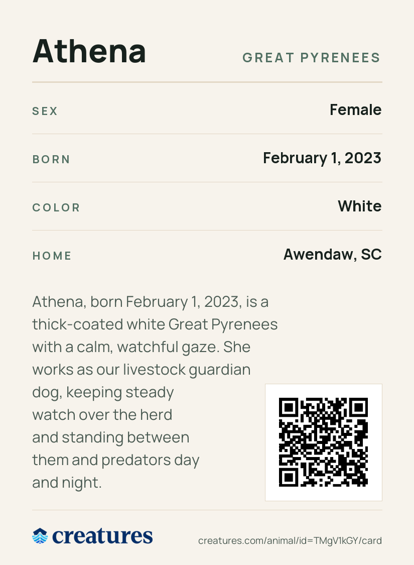 Athena Creature Card back
