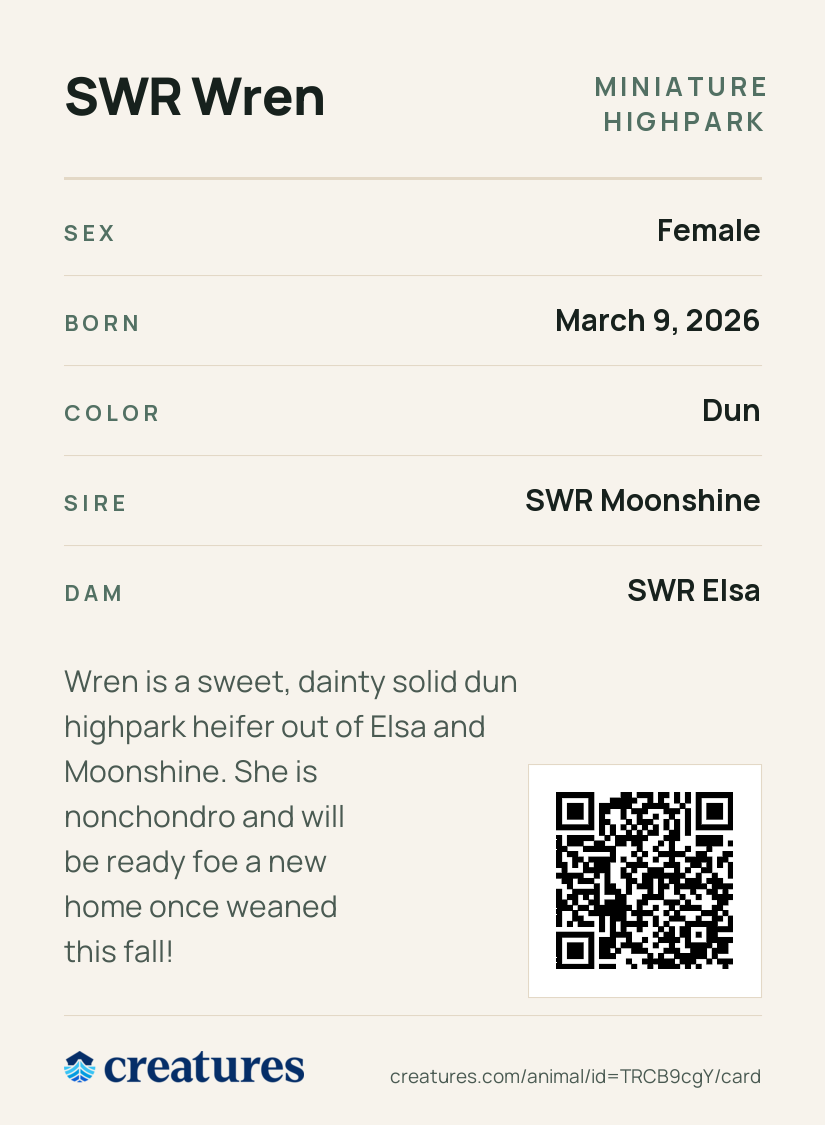 SWR Wren Creature Card back