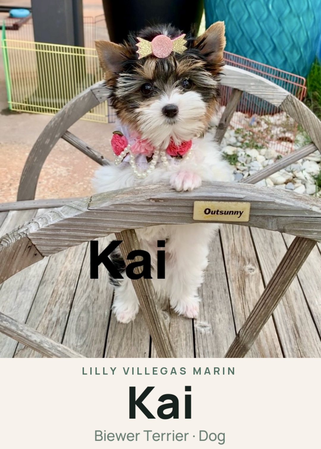 Kai Creature Card