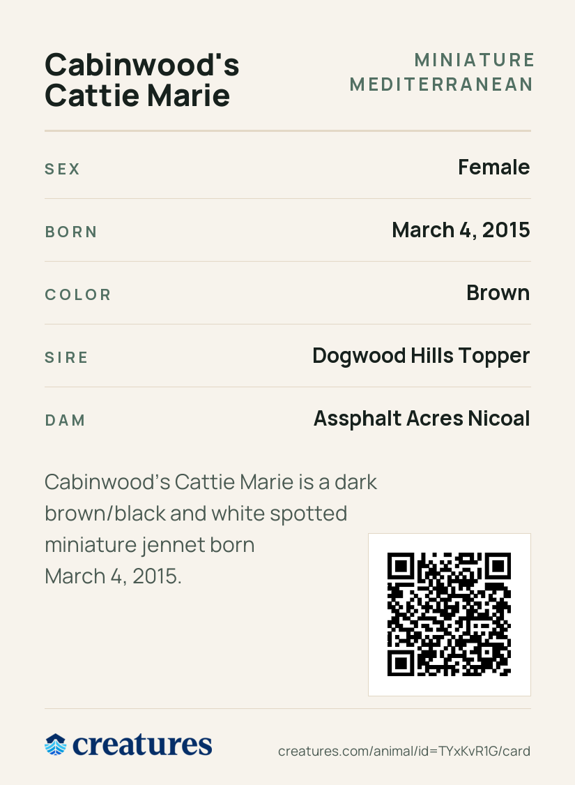 Cabinwood's Cattie Marie Creature Card back