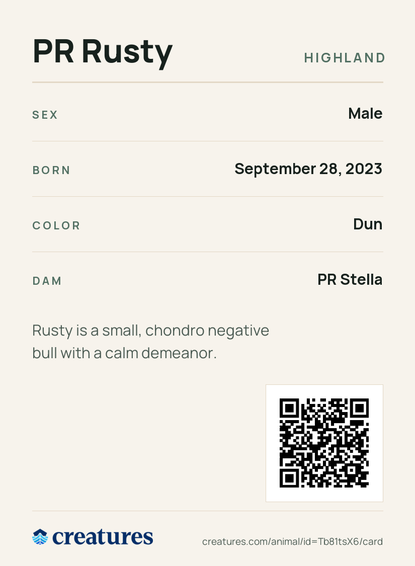 PR Rusty Creature Card back