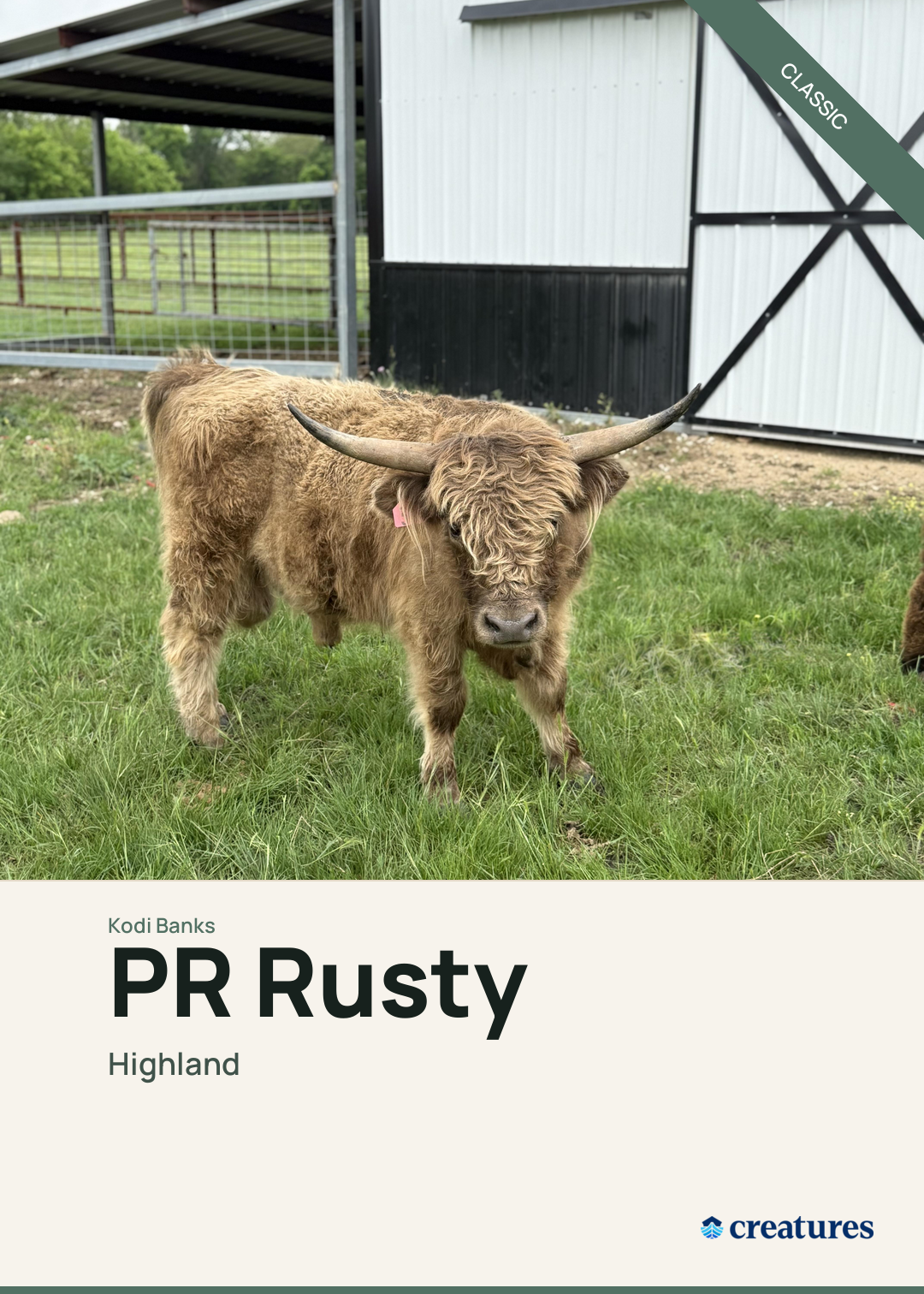 PR Rusty Creature Card