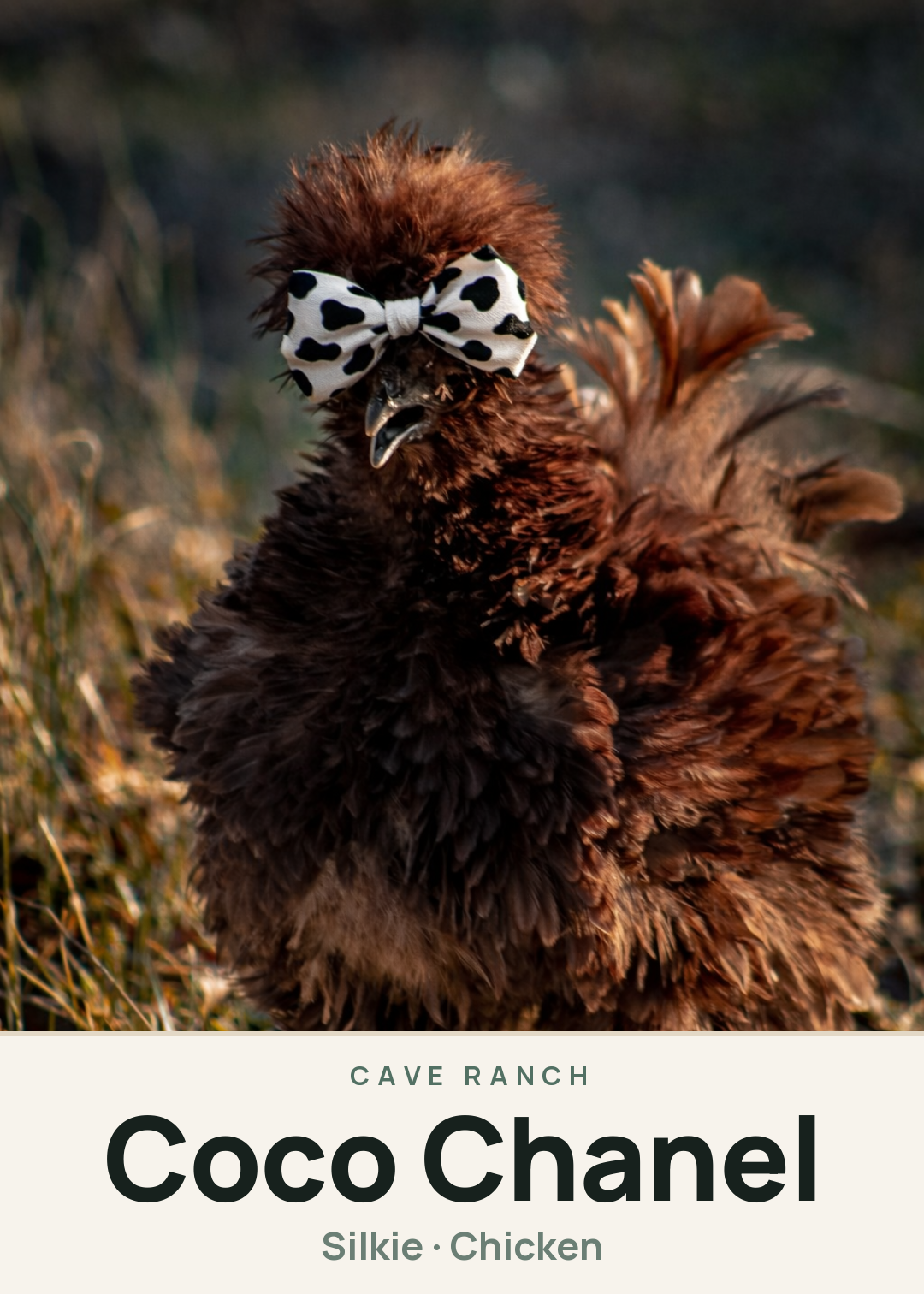 Coco Chanel Creature Card