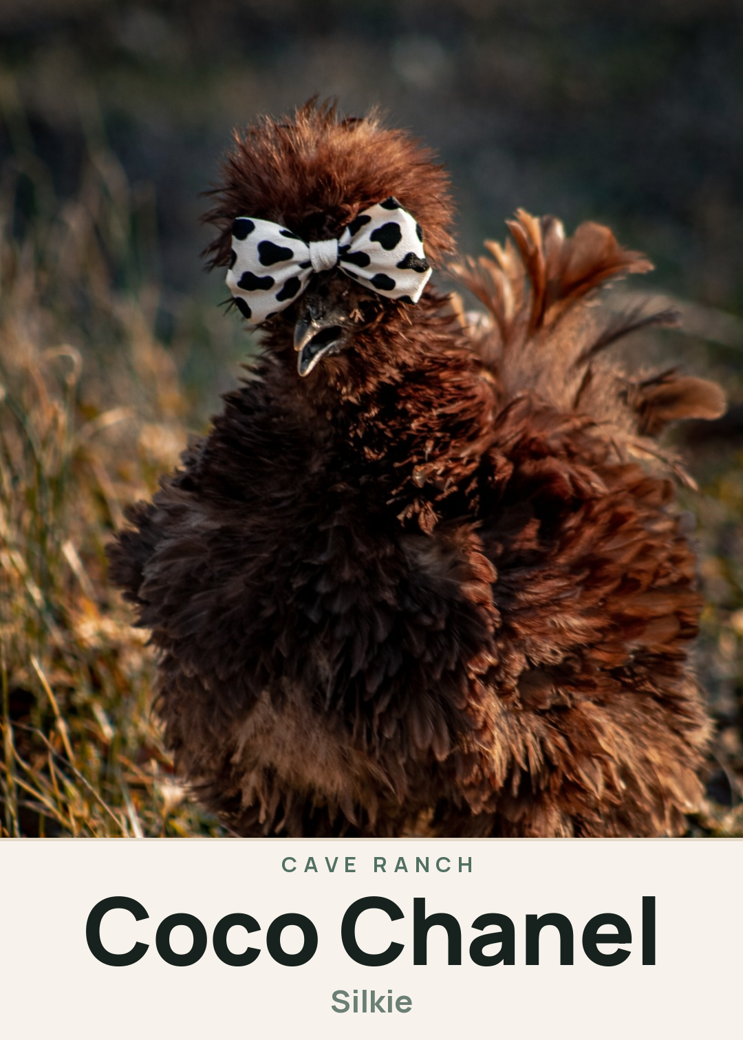 Coco Chanel Creature Card