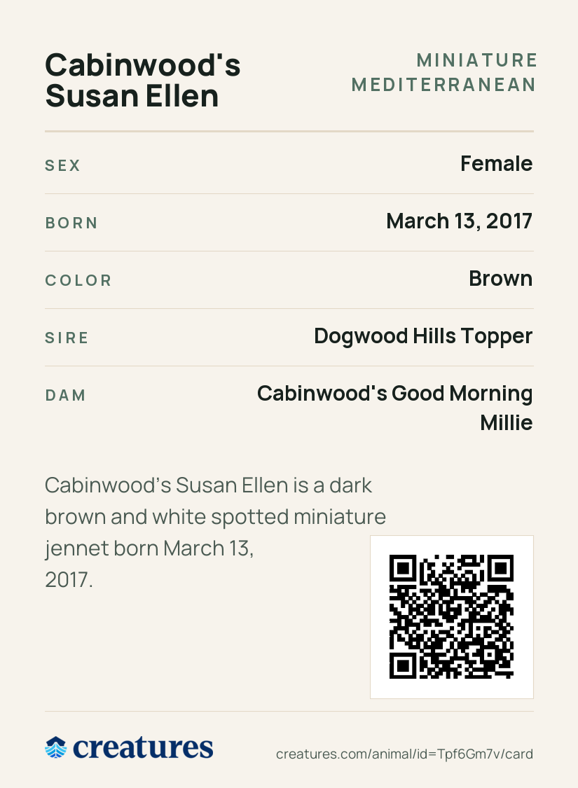 Cabinwood's Susan Ellen Creature Card back