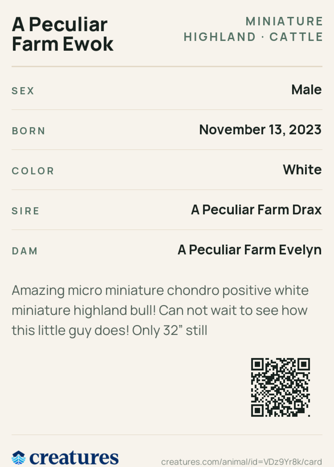 A Peculiar Farm Ewok Creature Card back