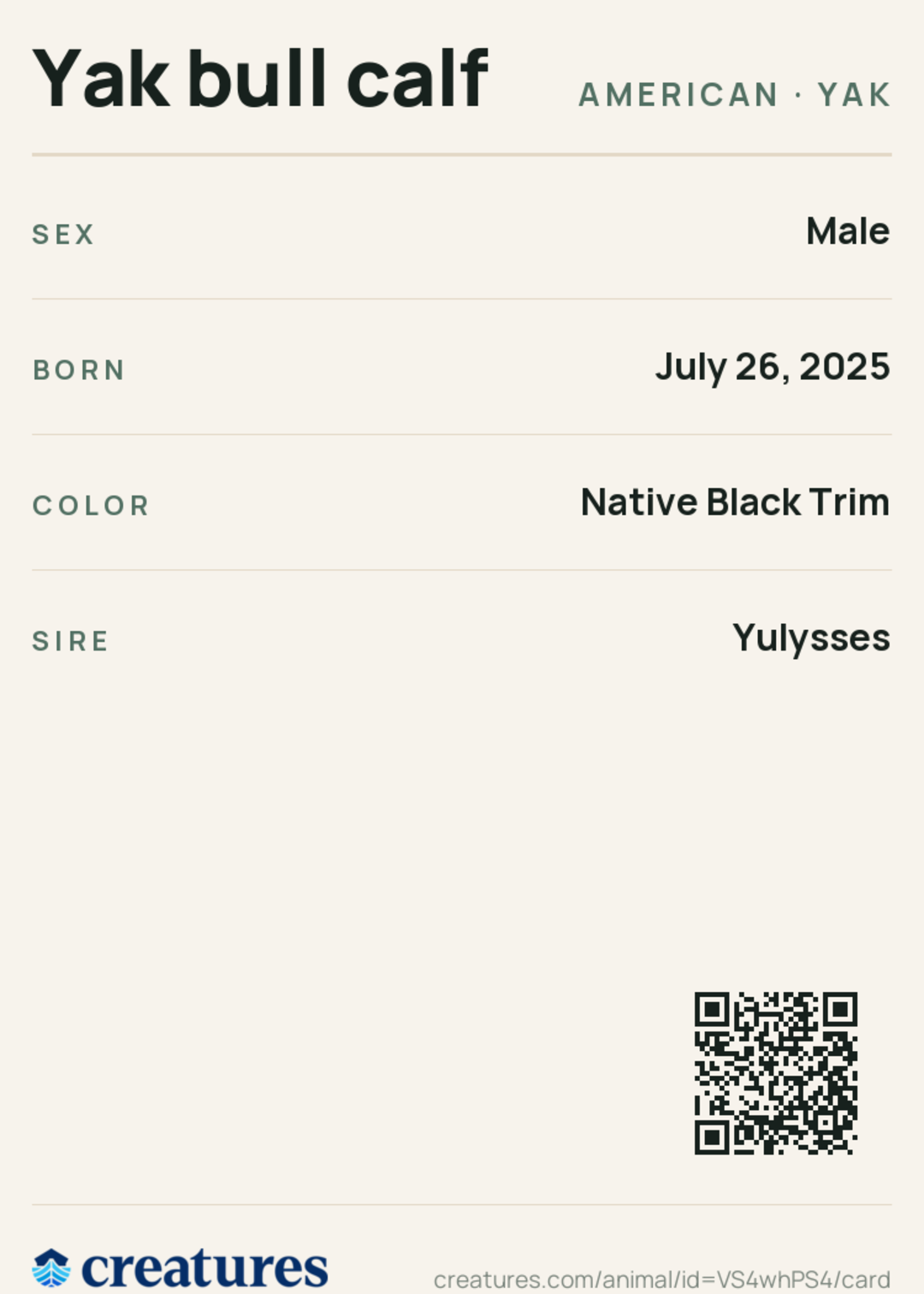 Yak bull calf Creature Card back