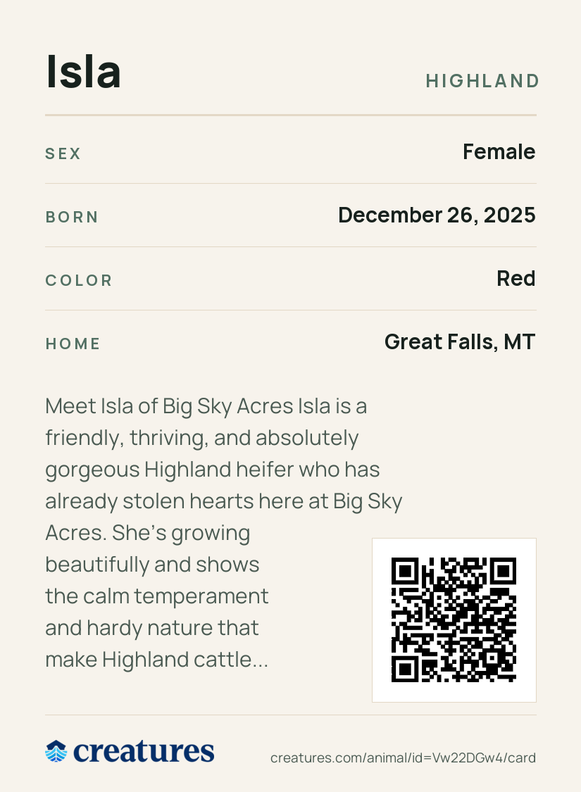 Isla Creature Card back