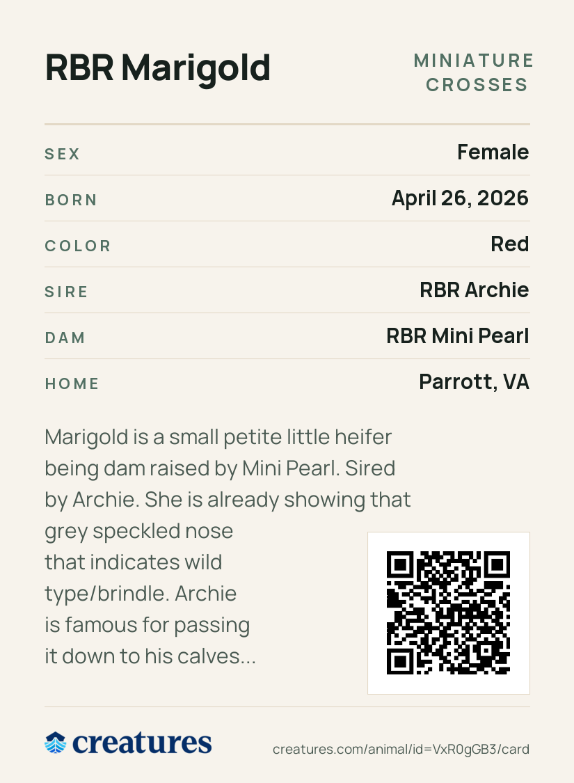 RBR Marigold Creature Card back