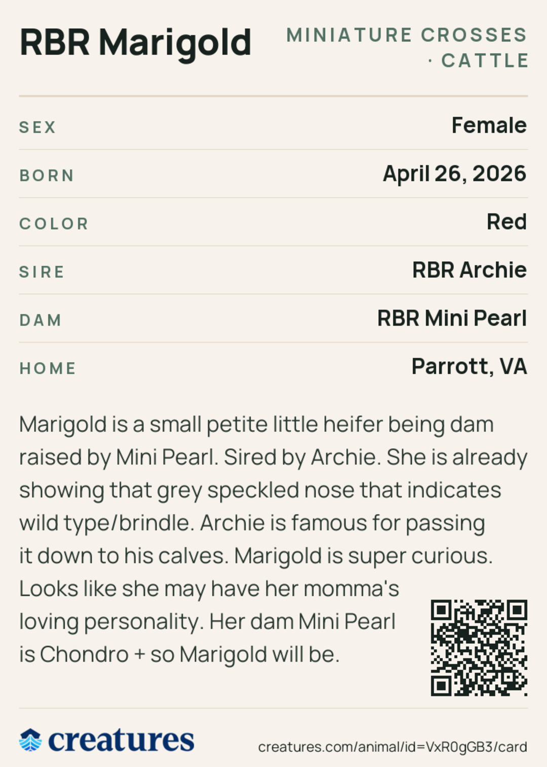 RBR Marigold Creature Card back