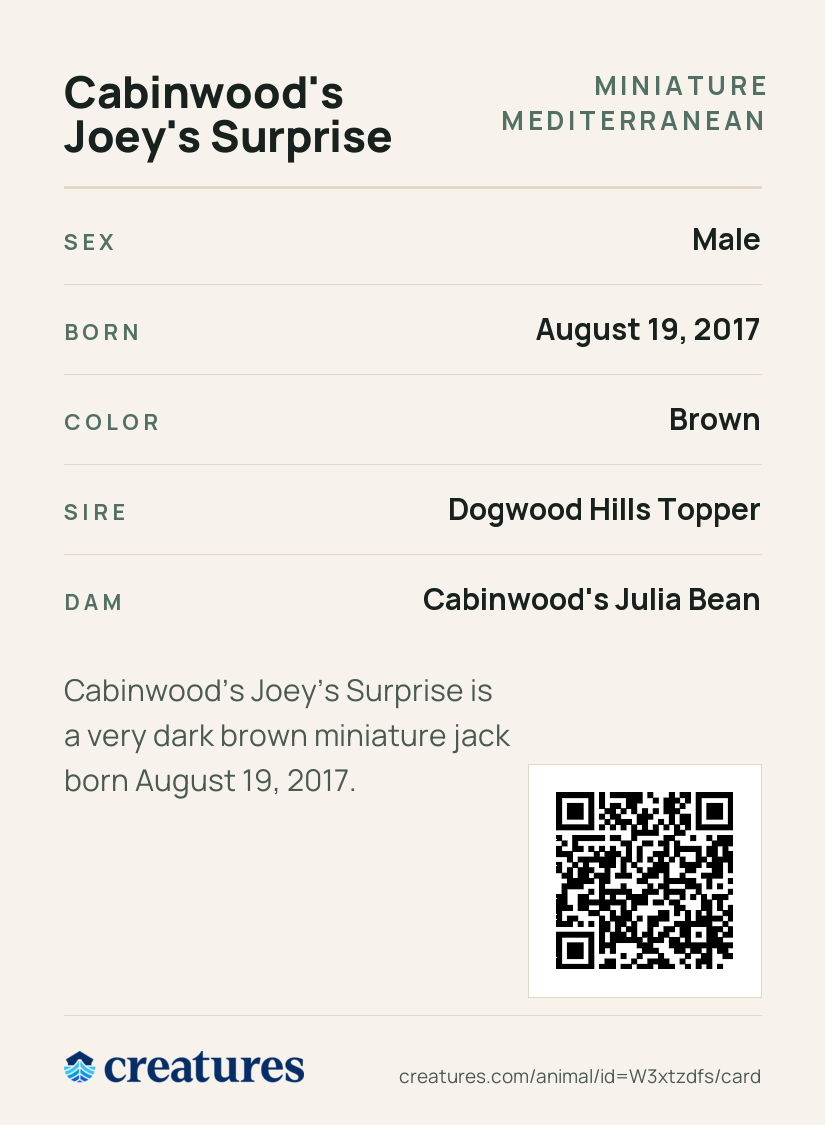 Cabinwood's Joey's Surprise Creature Card back