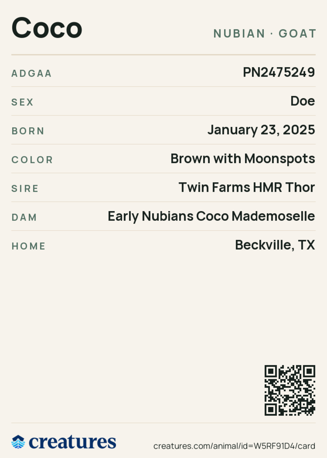 Coco Creature Card back