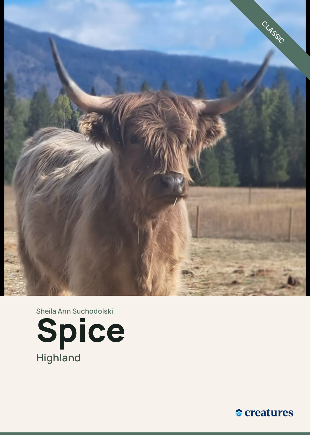 Spice Creature Card