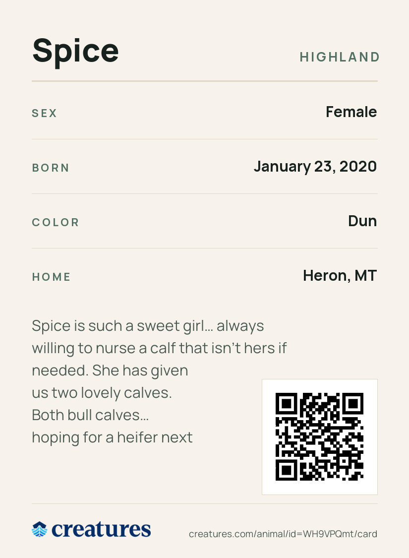 Spice Creature Card back