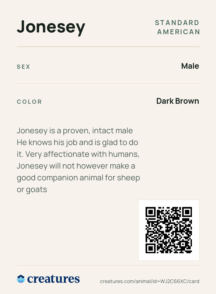 Jonesey Creature Card back