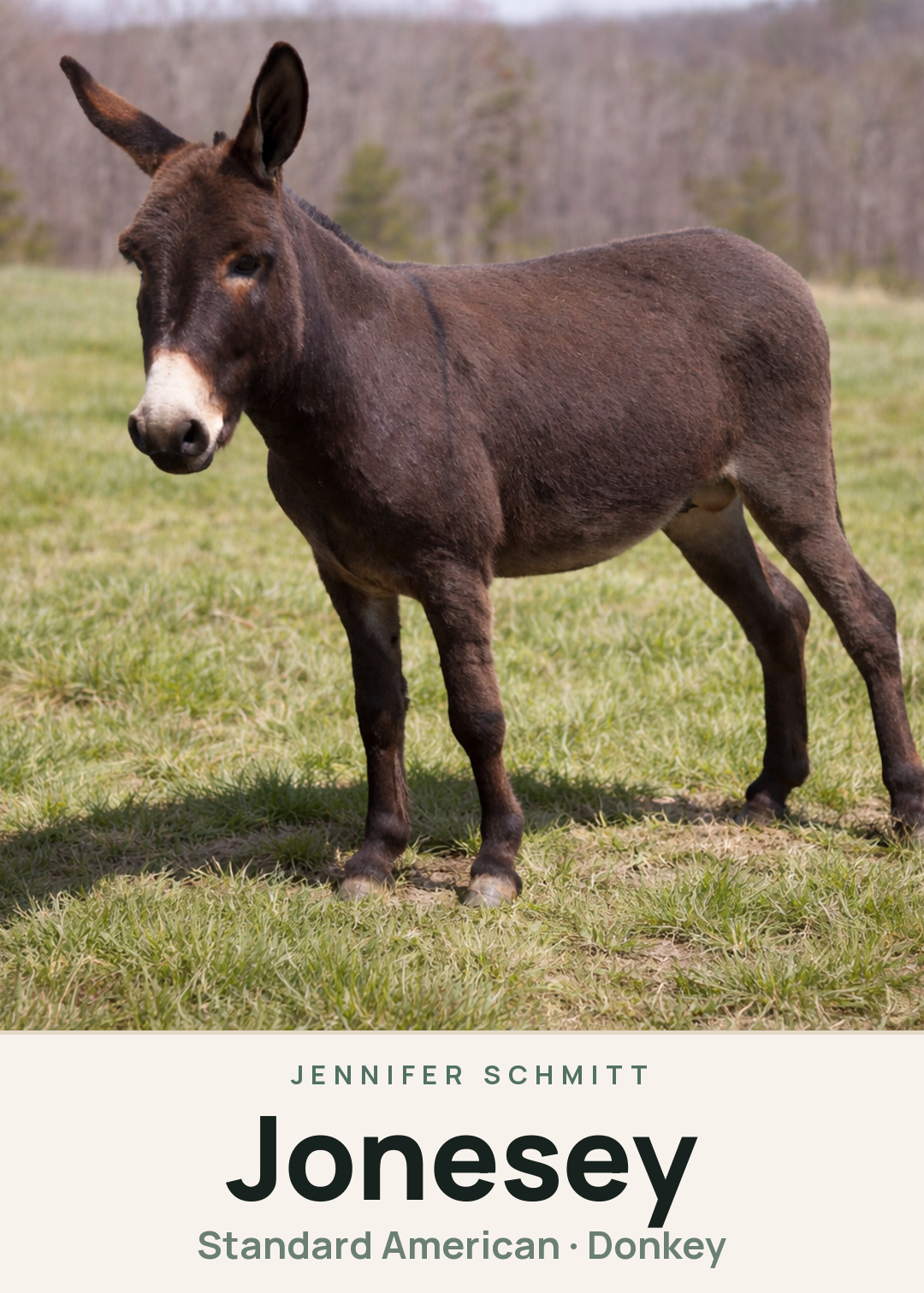 Jonesey Creature Card