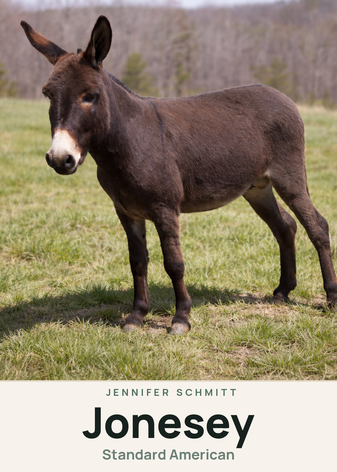 Jonesey Creature Card